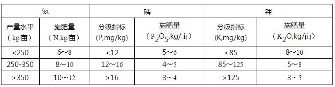 2020껨 y䷽ʩʼg(sh)ָҊ